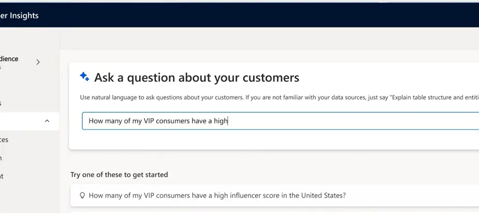 Example of Copilot in Dynamics Customer Insights